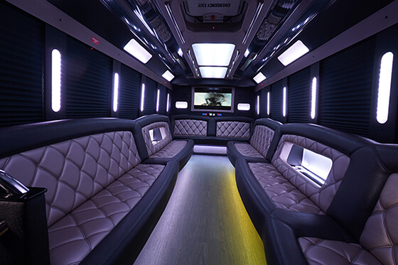 28 passenger party bus